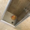 Photo 9: Quality Modern Shower with easy clean panels