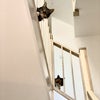 Photo 9: furry housemates