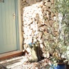 Photo 2: Own front door
