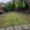 Photo 7: garden
