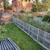 Photo 1: large garden with bike storage