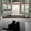 Photo 6: Entrance to garden from kitchen