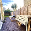 Photo 9: Garden