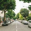 Photo 9: Beautiful Hammersmith tree grove