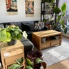 Photo 5: The living room gets plenty of sunlight during the day (south-facing)