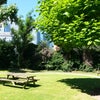 Photo 9: Community Garden