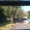 Photo 8: Front gardens