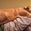 Photo 8: Stanley