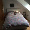 Photo 3: Bedroom