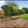 Photo 2: Garden