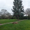 Photo 8: Garden