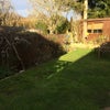 Photo 8: Back garden in October & my office!