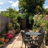 Photo 8: Garden