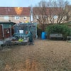 Photo 7: Garden with budgies!