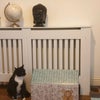 Photo 5: The resident 🐈 in lounge