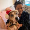Photo 5: Me and my current foster dog 
