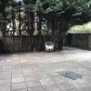 Photo 7: Private garden