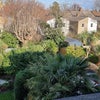 Photo 8: View of garden from bedroom