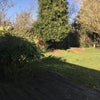 Photo 4: Rear Garden and Deck