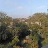 Photo 9: View of garden 