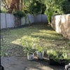 Photo 7: Garden