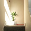 Photo 4: Stairs to bedrooms (the neighbours can party, we won't hear it!)
