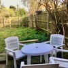 Photo 7: garden