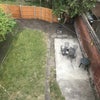 Photo 3: Garden