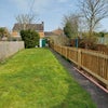 Photo 4: Try mowing that!