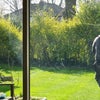Photo 8: Includes bi-weekly visit from the gardeners 