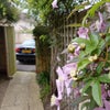 Photo 3: Garden leading to your own private allocated parking