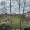 Photo 9: Shared back green