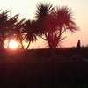 Photo 8: Garden Sunset