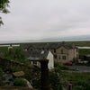 Photo 6: View from top of garden