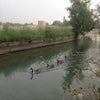 Photo 7: The neighbours 