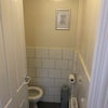 Photo 8: Shared: Ground-floor Toilet
