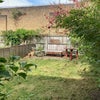 Photo 7: Garden