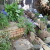 Photo 8: Garden waterfall