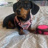 Photograph of Nikki 
