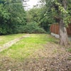 Photo 10: Lovely large garden!