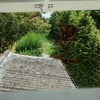 Photo 4: View of hundred foot garden from upstairs bathroom