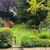 Photo 7: Garden