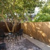 Photo 8: Garden