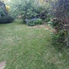 Photo 6: Garden