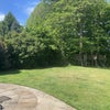 Photo 3: Back garden 