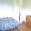 Photo 4: medium sized double (taken)