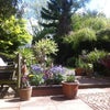Photo 5: Mature Rear Garden