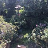 Photo 6: View from window