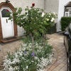 Photo 1: Front garden with extra parking