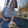 Ava\'s picture